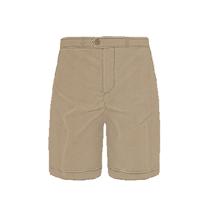 Self Customise, Male Chino Shorts preview